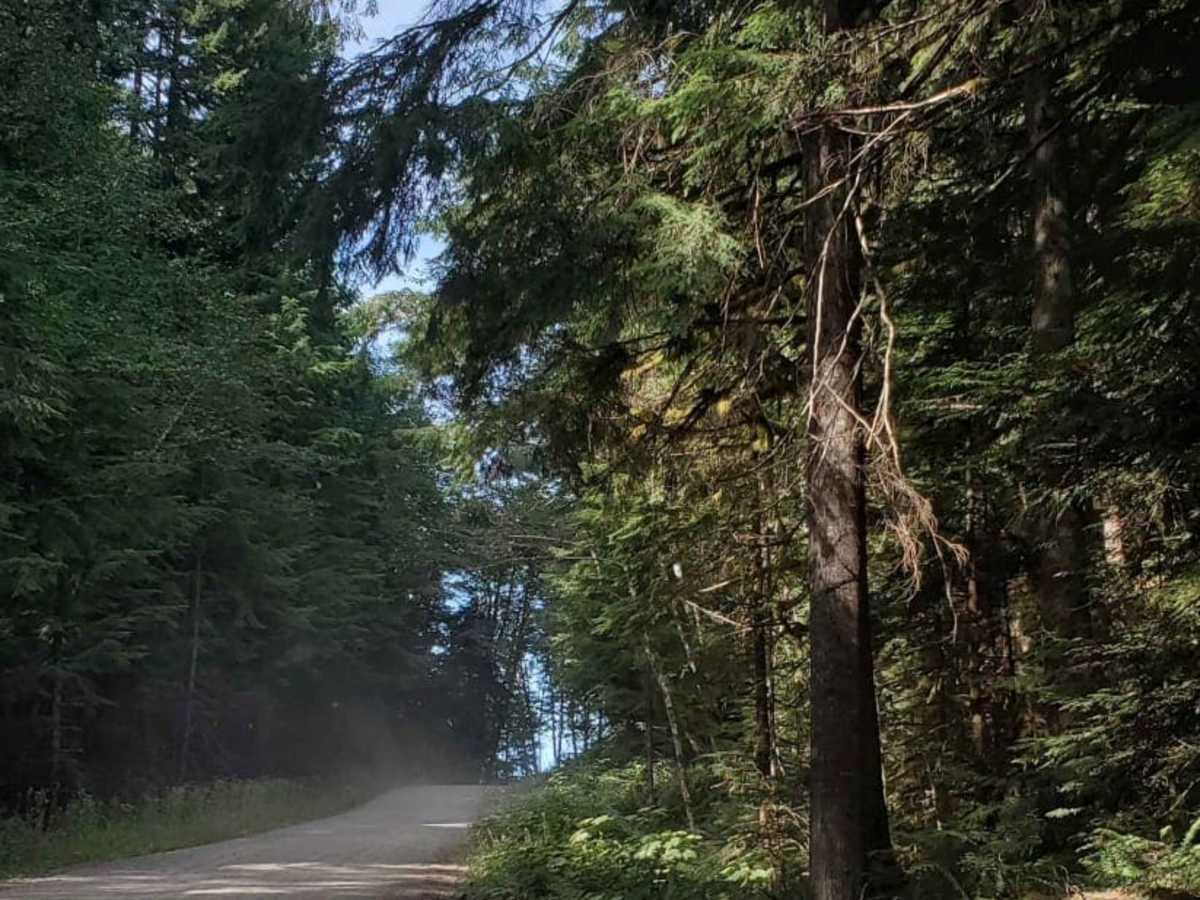 Narnia trail photo