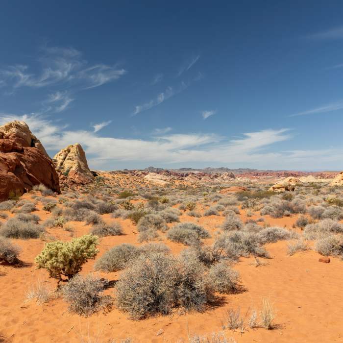 Near Rainbow Vista Trail