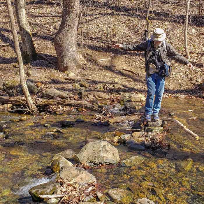 Near Overall Run Falls via Thompson Hollow Near Overall Run Falls via Thompson Hollow