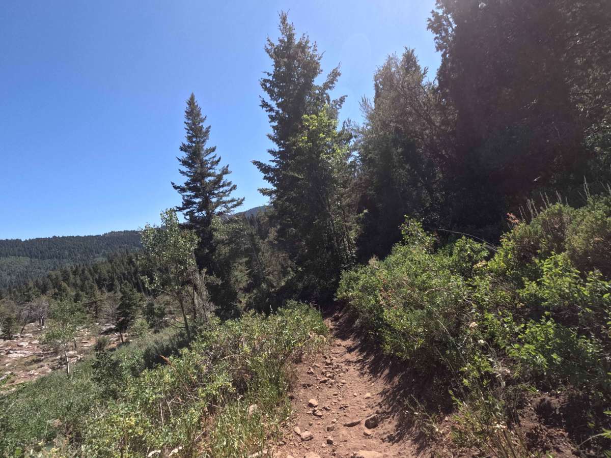 Davis Canyon photo 2
