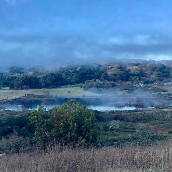 Near Grant View Loop