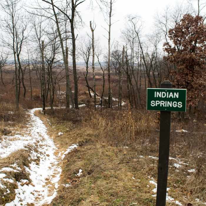 Indian Springs Near Scuppernong Springs Nature Loop