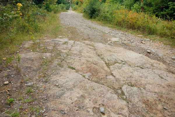 Gravel Island Road