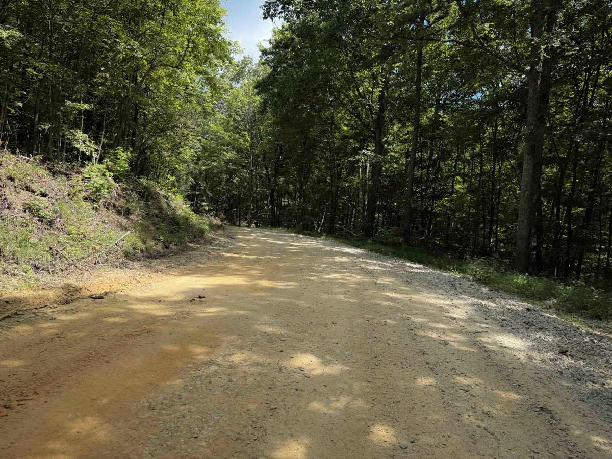 Cumberland Mountain Trail photo 5