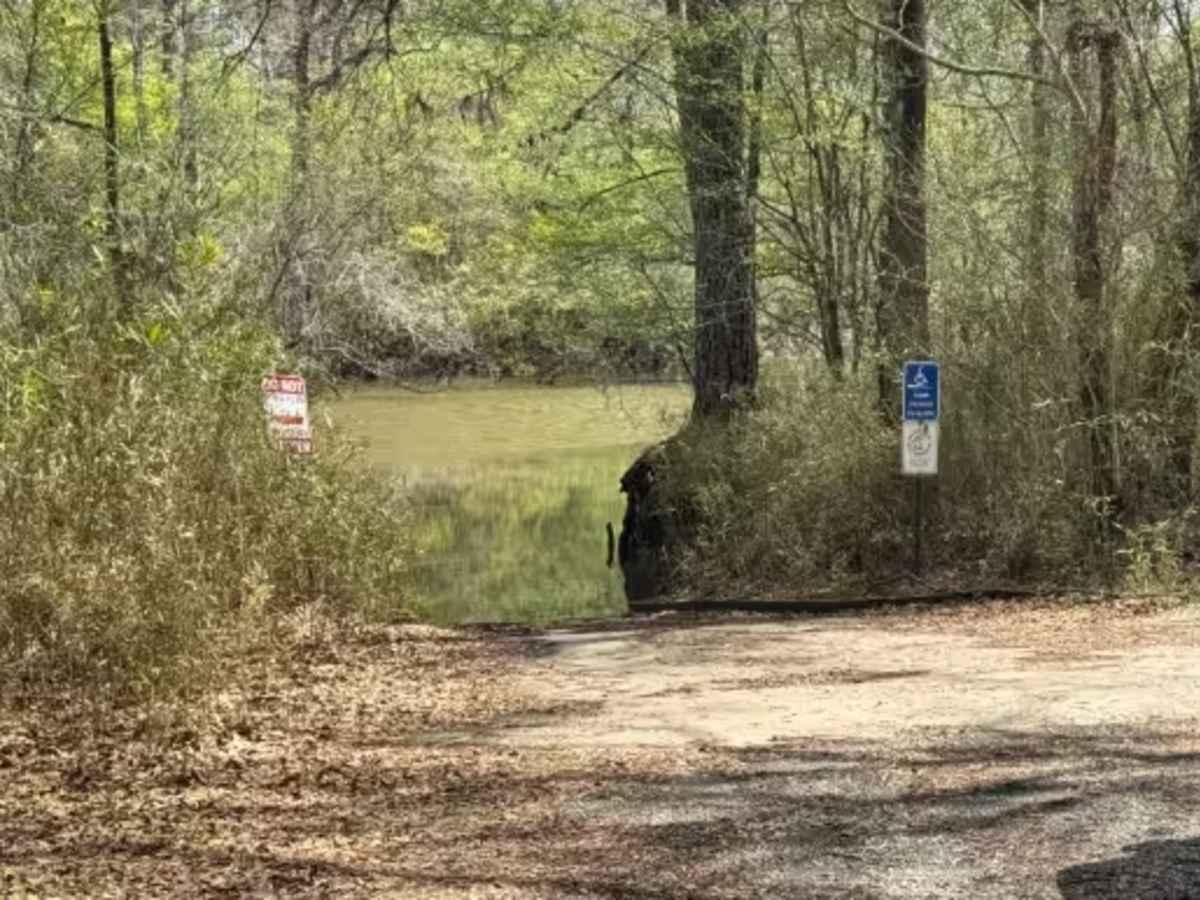 Cogden Lake Road trail photo