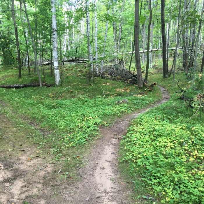 West end of the trail Near Fumee Mountain Trail