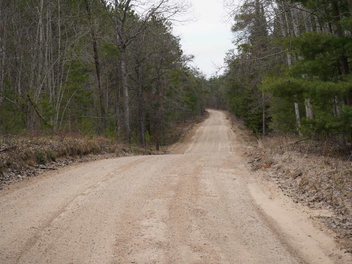 Randall Road photo 2