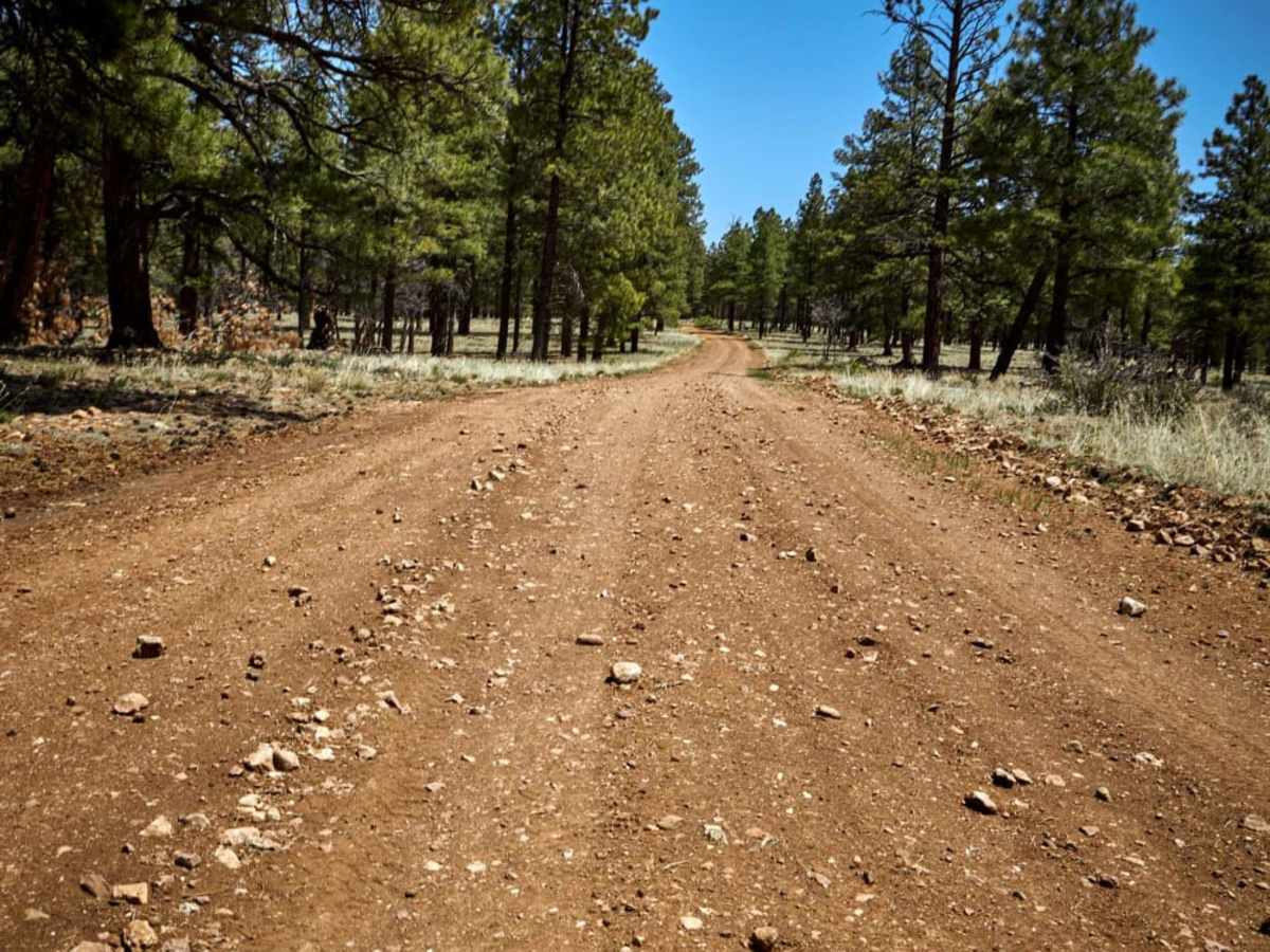 Halfway Tank Road photo 5