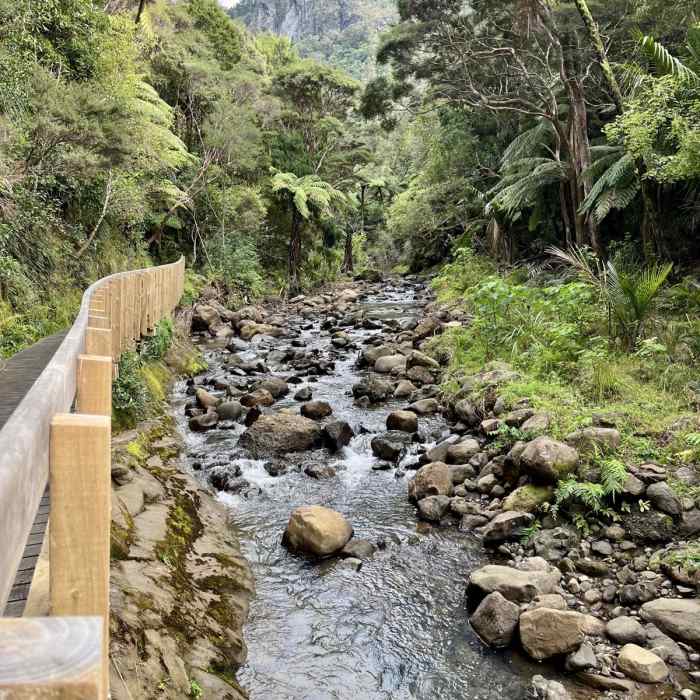 Near Karamatura Track to Mount Donald McLean