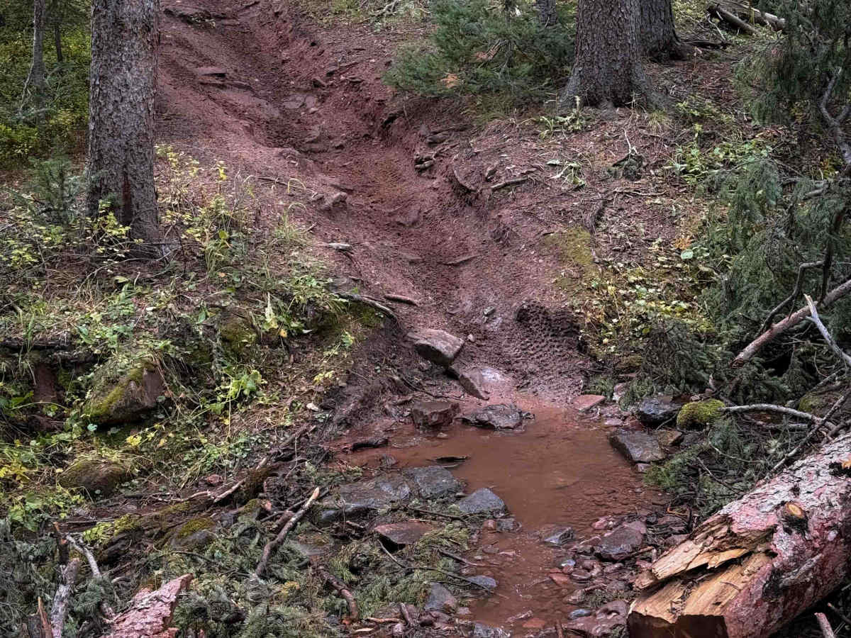 Waterfall Creek Trail - FS 555  photo 6