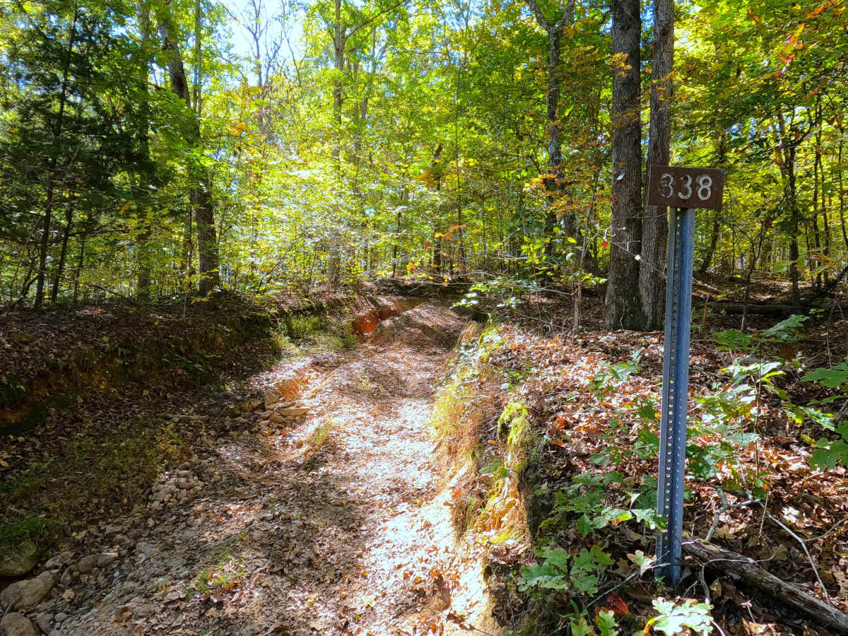 Chambers Cemetery - FS 338 trail photo