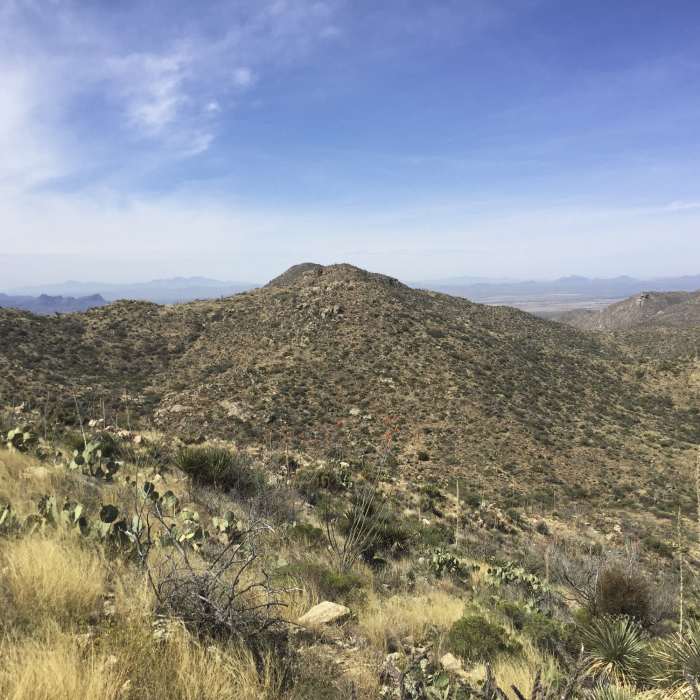 Near Wild Burro Loop Trail
