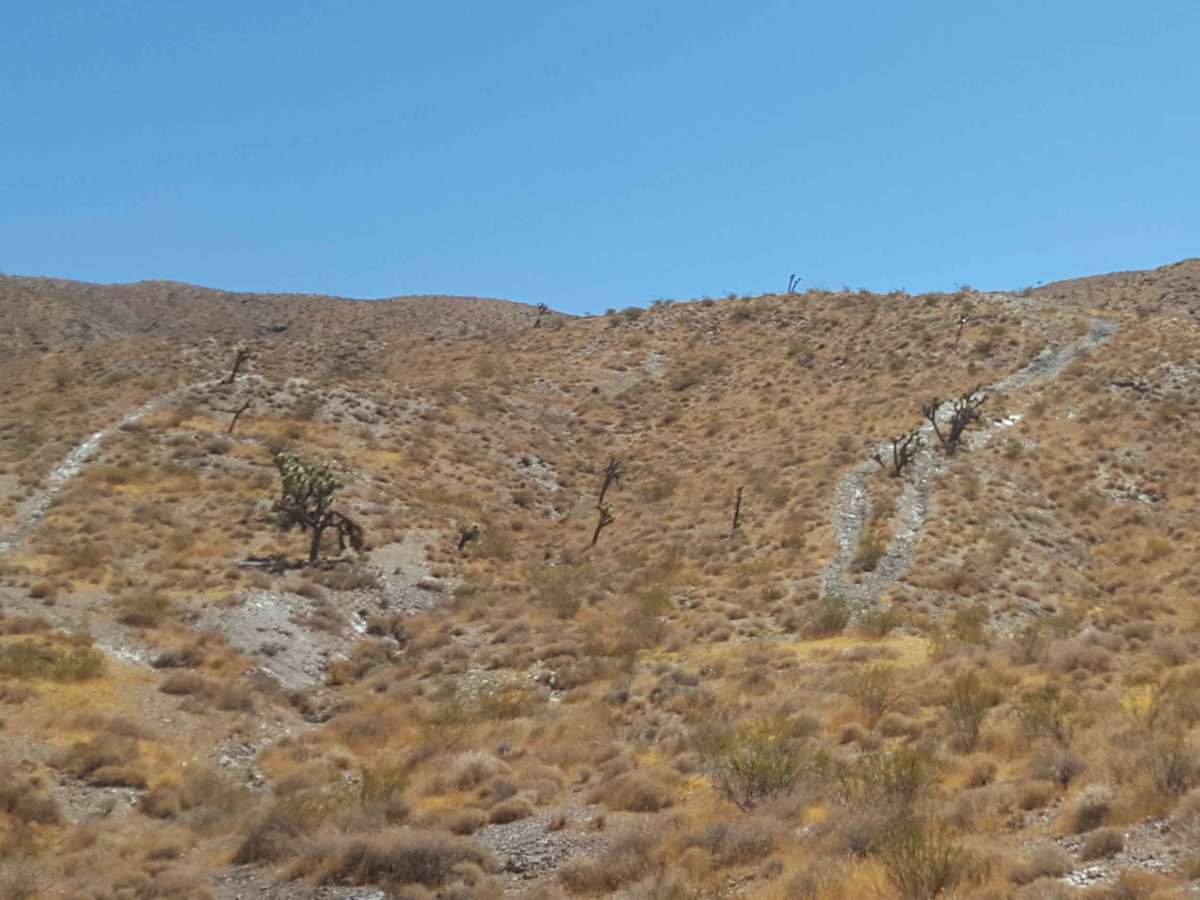 Trail 53 photo 4