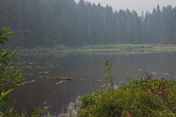 Gordon Lakes