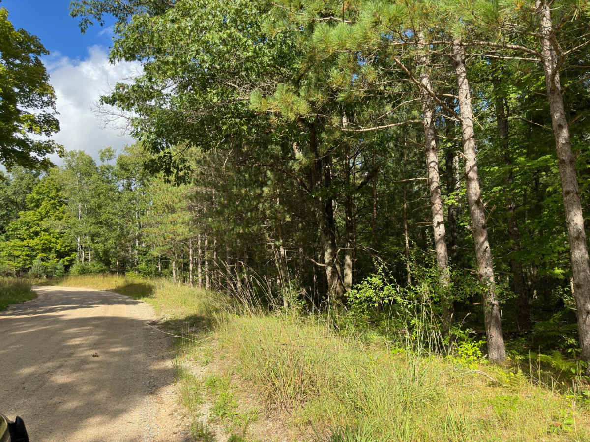 Seaton Creek - FS 9993 photo 4