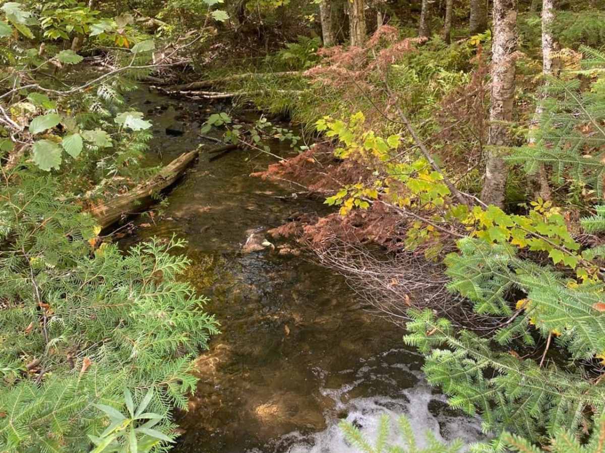Au Train Falls Loop photo 6