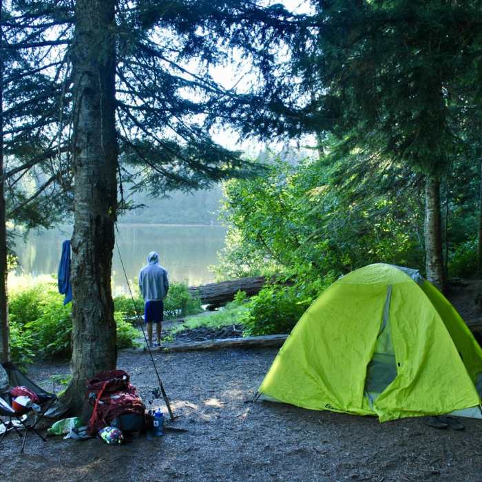 Near Paradise Park Loop