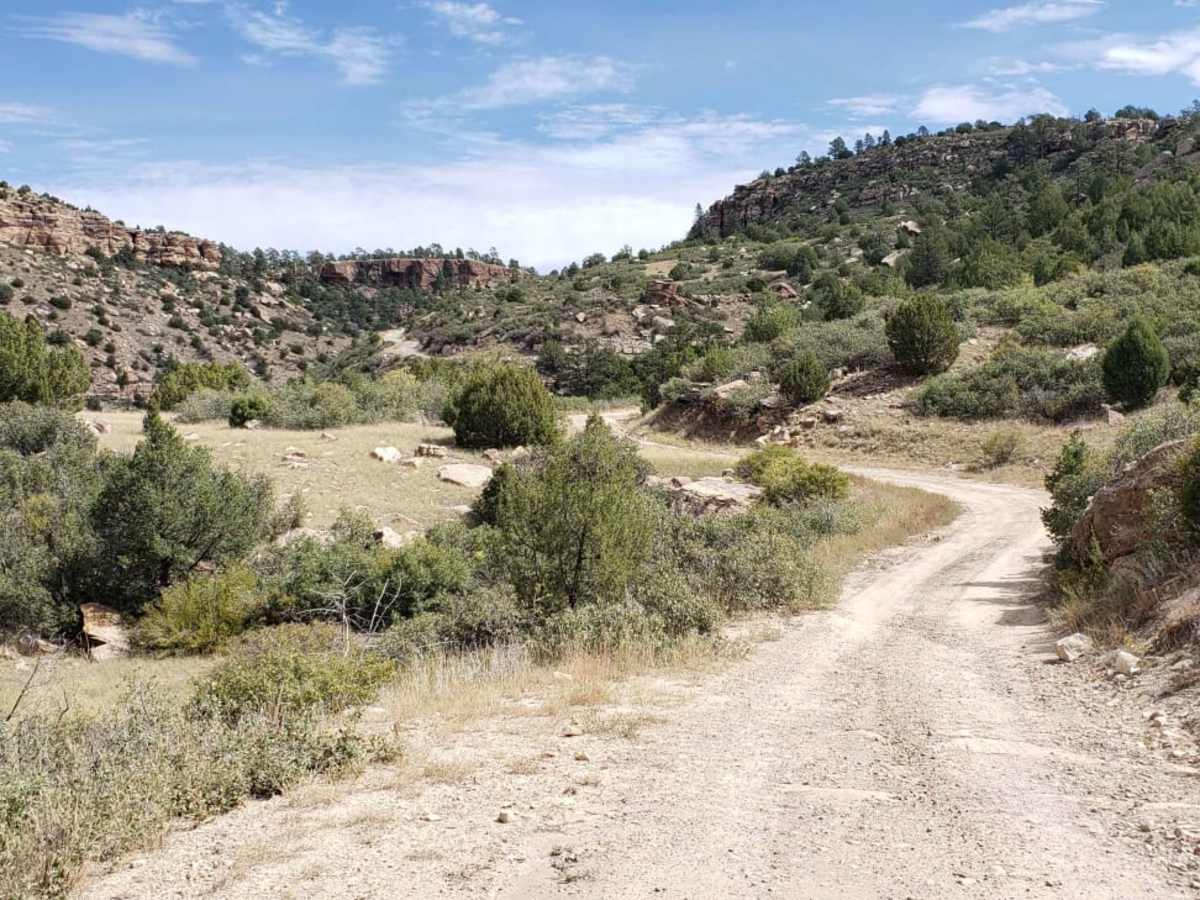 Mills Canyon Trail photo 6