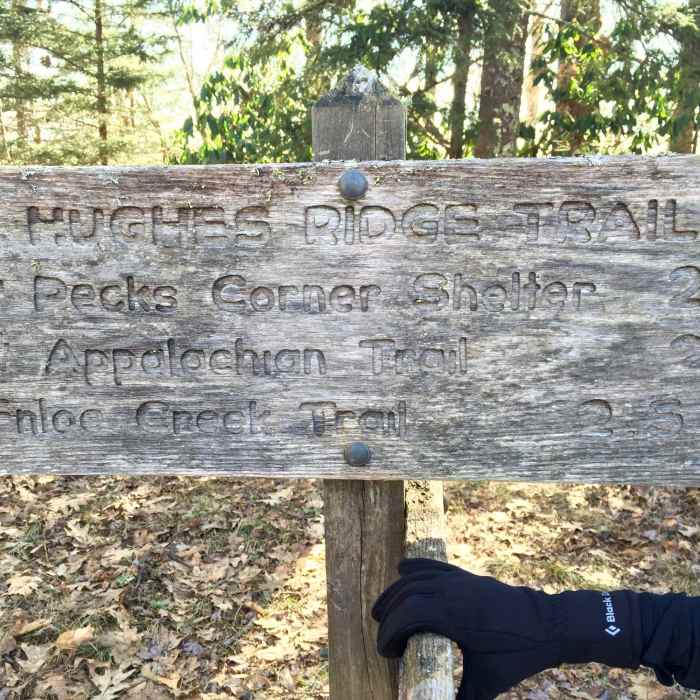 Trail sign at the intersection of the Bradley Fork Trail. Near Hughes Ridge Trail