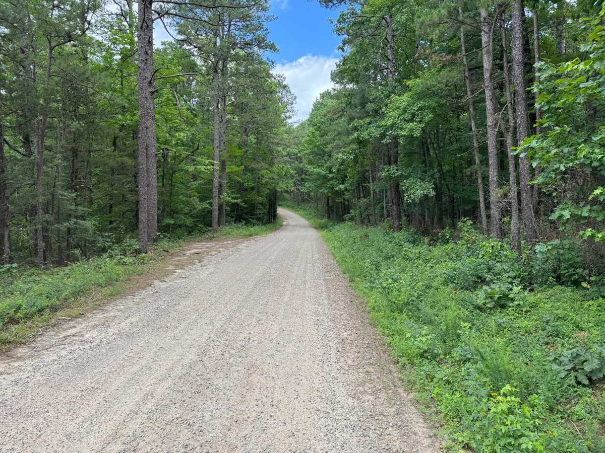 RD 1004 trail photo