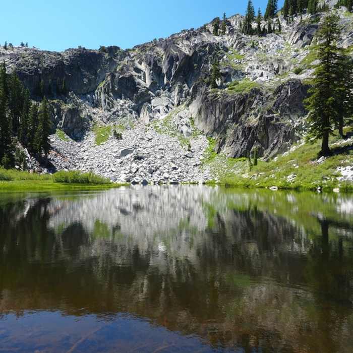Near Little Mill Trail #5572
