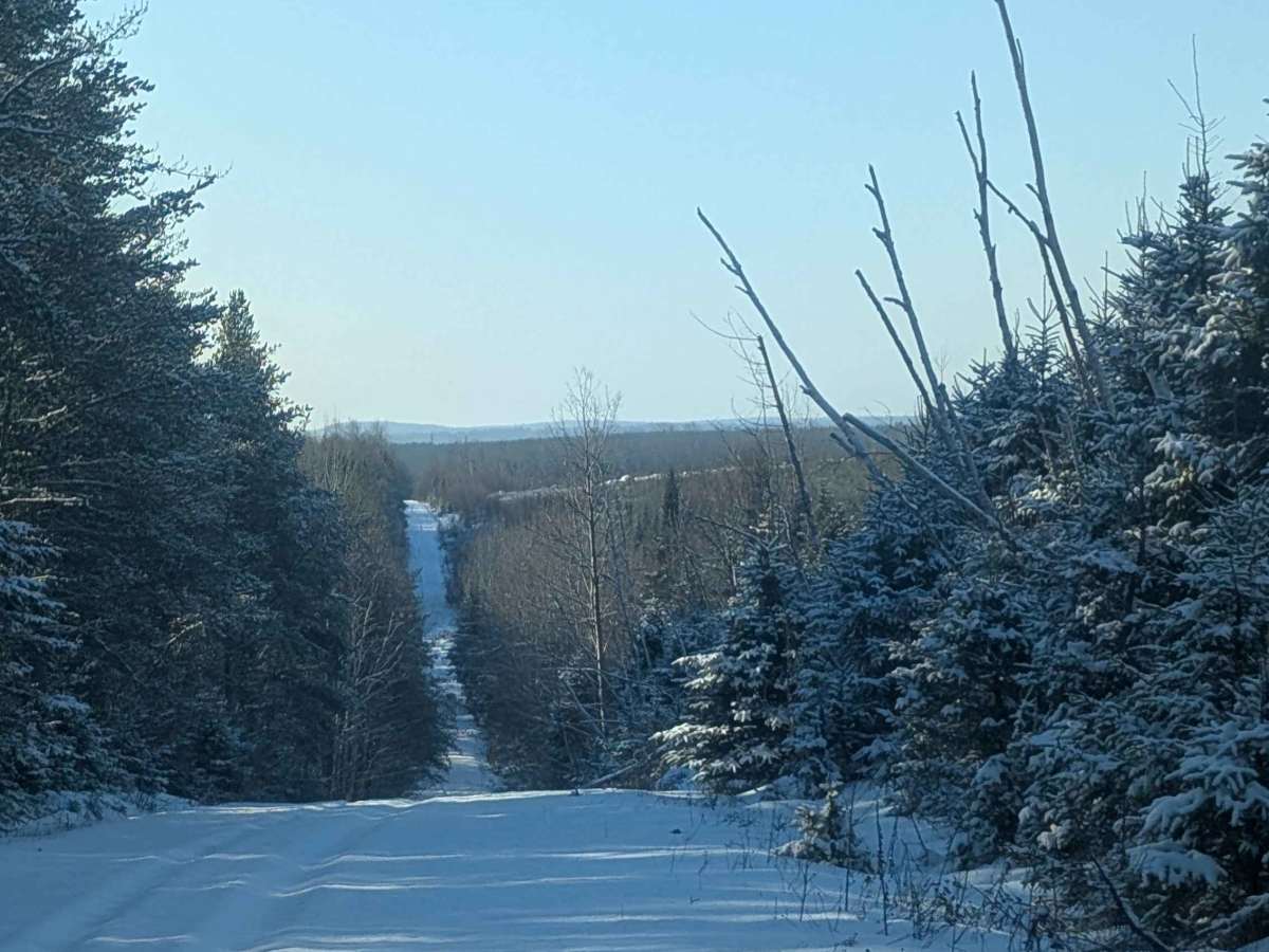 Stoneridge Hydro Logging Road photo 6