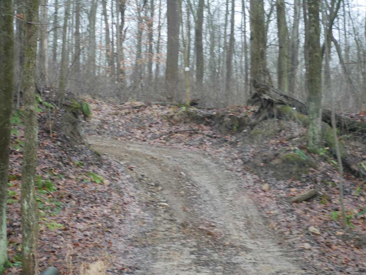 Trail 9 photo 3