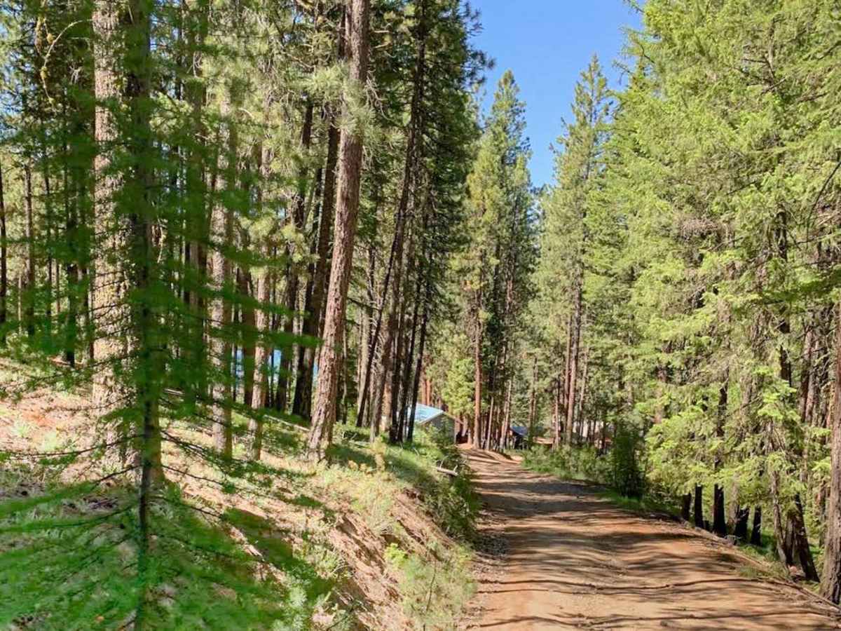 Marble Creek Pass to Sumpter photo 2