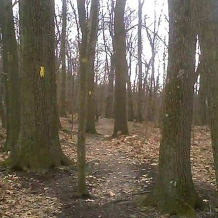 Near Rachel Carson Trail