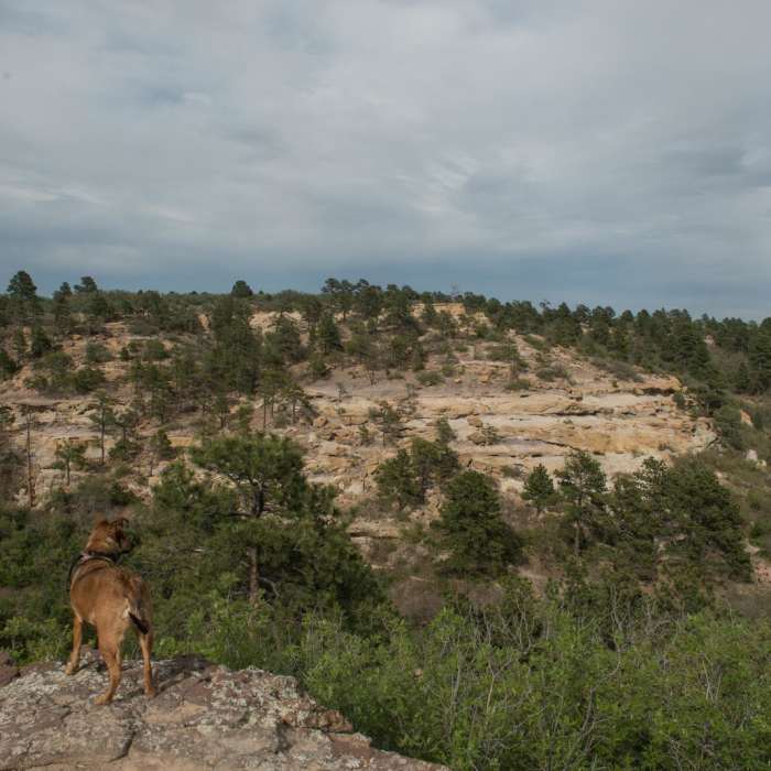 Near Grandview Trail