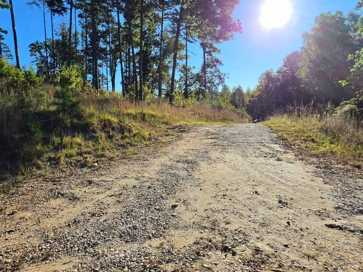 Beaver Swamp Trail photo 3