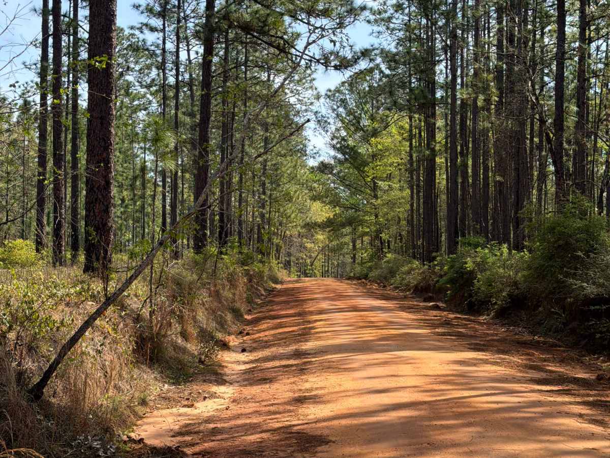 Carpenter Road photo 4