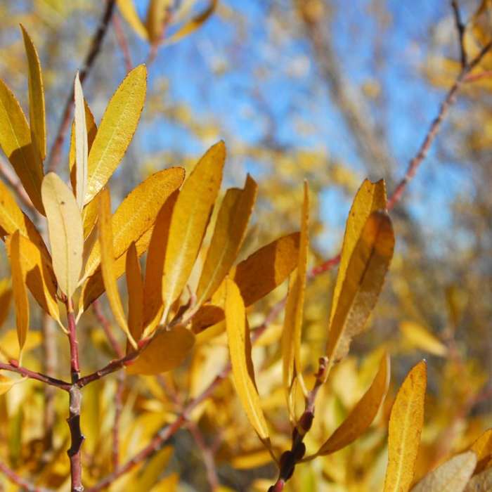 Near Pike Creek Mine Hike Near Pike Creek Mine Hike