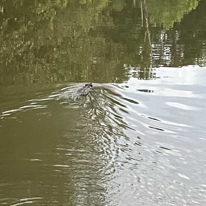 Near Roswell Riverwalk Boardwalk