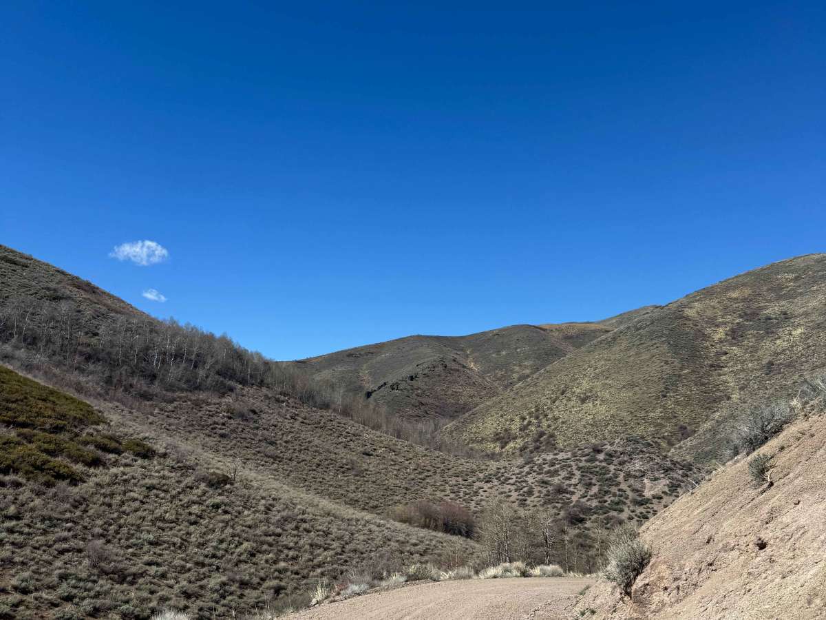 Trail Creek Road - FS 56729 photo 5