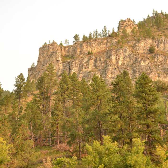 Near Roughlock Falls Trail Near Roughlock Falls Trail