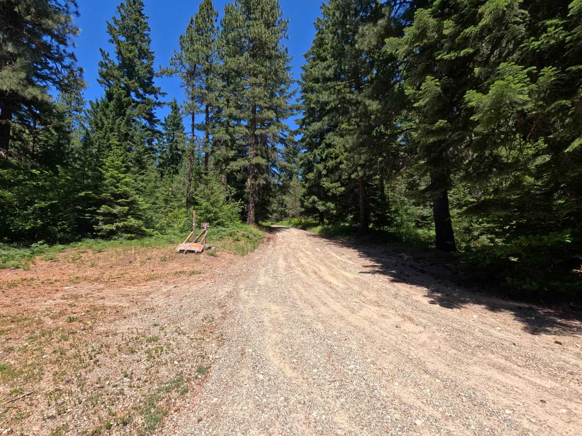 Corral Creek - FS 4305 trail photo