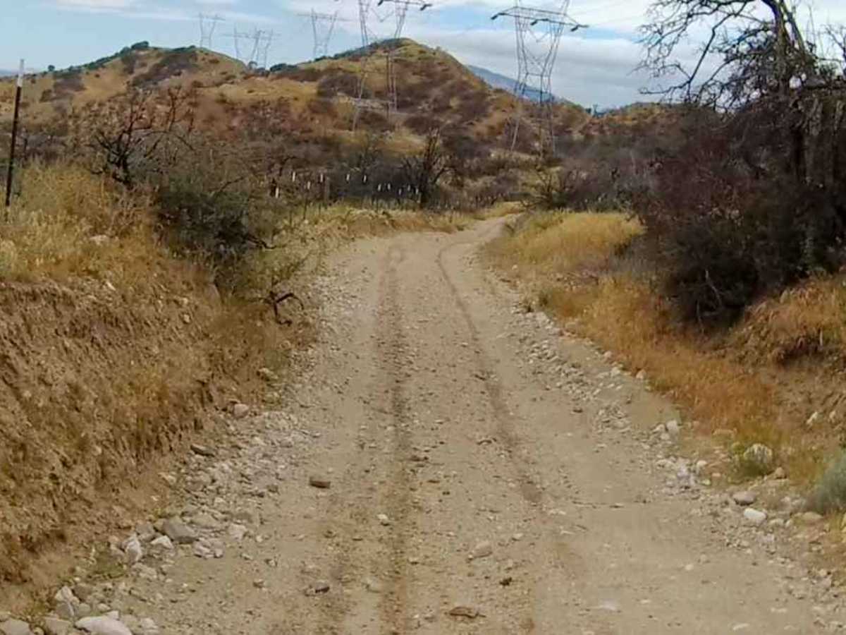 Power Line Road - East photo 4