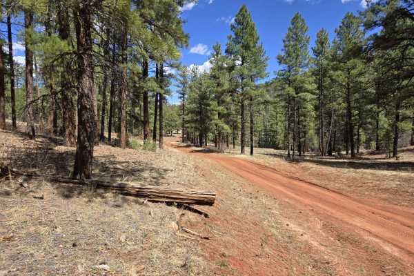 Hogback Trail