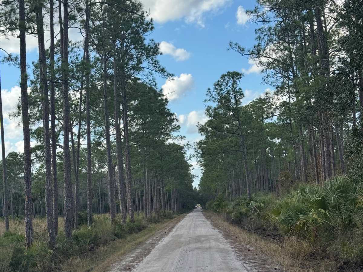 Fish Hole Road photo 5