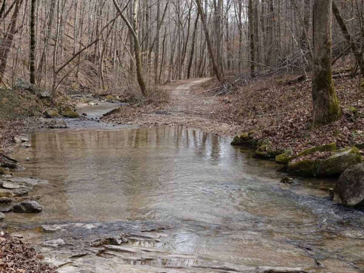 Lost Creek & Clear Creek photo 4