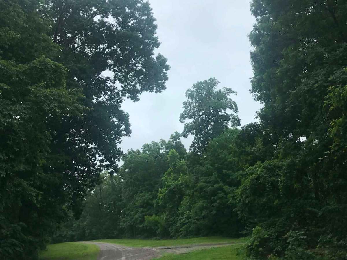 Township Road 232 photo 2