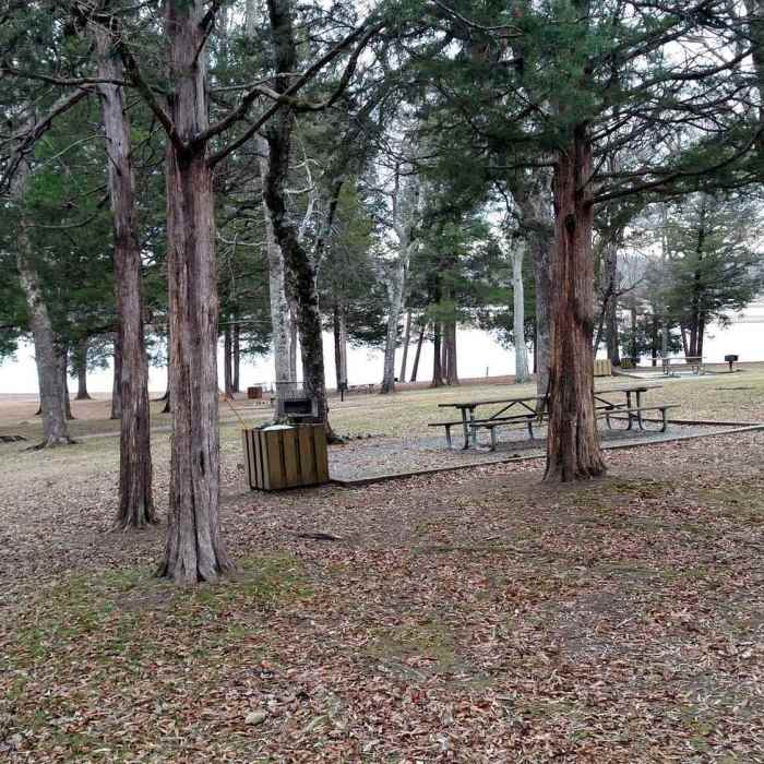 Picnic Area 2 Near River Bank and Twin Loops Trails