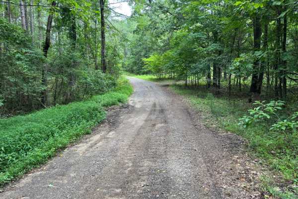Owens Camp