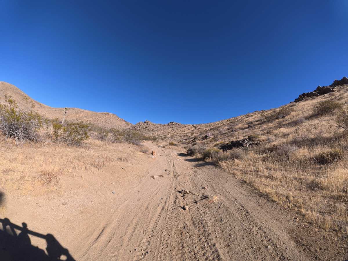 BLM SV2636 photo 4