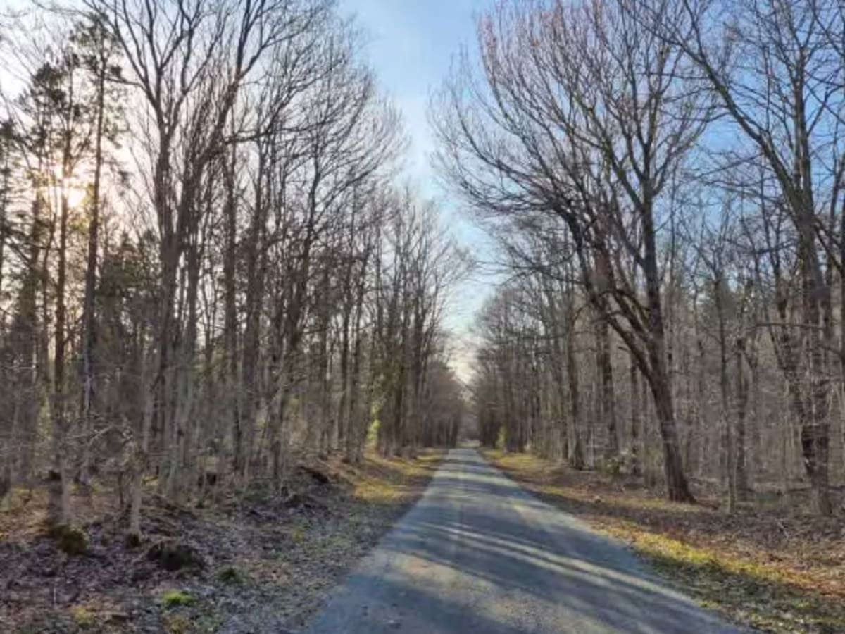 McGoldrick Truck Trail photo 4