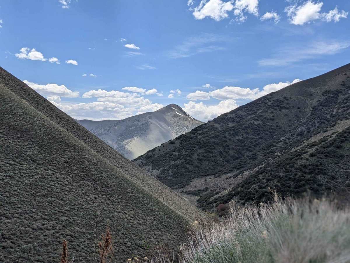 Kingston Canyon Road trail photo