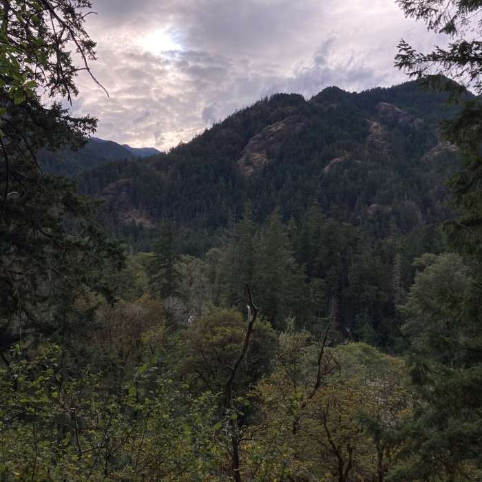 Looking across the Elwha Near Elwha Dam Removal Site
