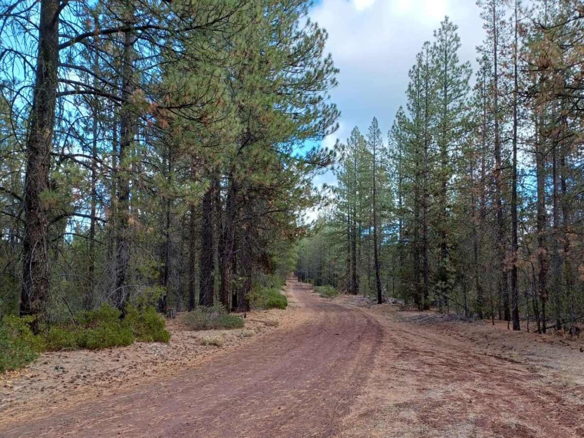 Pipeline #2215 photo 5