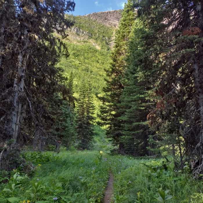 Near Lost Lake Trail